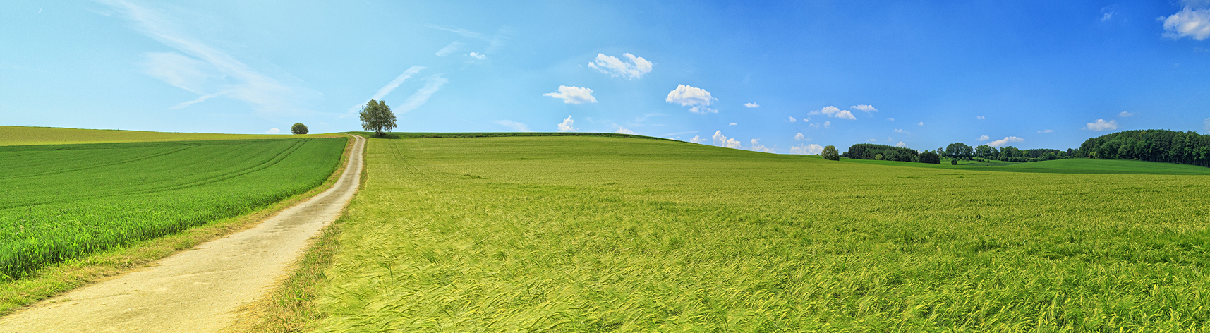 Obec Blažejov - ilustrační foto - 0